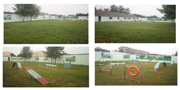 上海訓(xùn)狗學(xué)校 上海訓(xùn)狗基地
